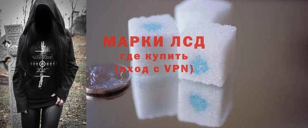 ПСИЛОЦИБИНОВЫЕ ГРИБЫ Новодвинск