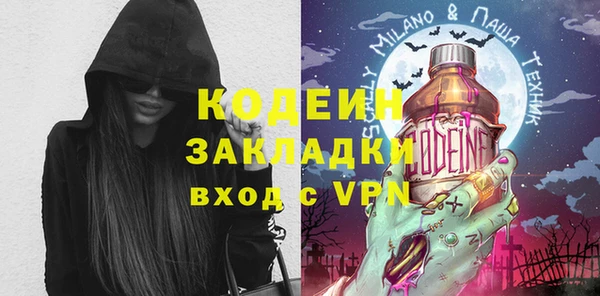 хмурый Няндома