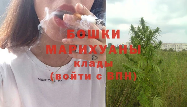ГАЛЛЮЦИНОГЕННЫЕ ГРИБЫ Новозыбков