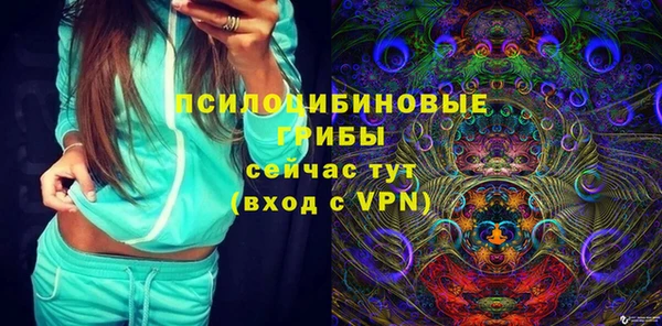 ГАЛЛЮЦИНОГЕННЫЕ ГРИБЫ Новозыбков