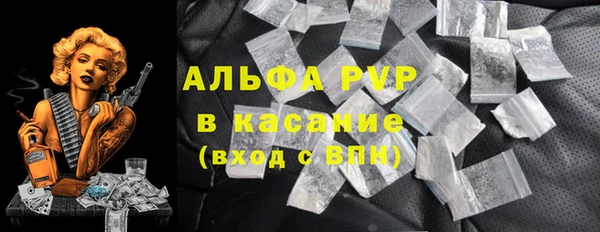 ГАЛЛЮЦИНОГЕННЫЕ ГРИБЫ Новозыбков